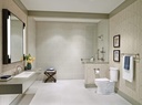 delta-contemporary-1-pack-18-shower-grab-3.jpg