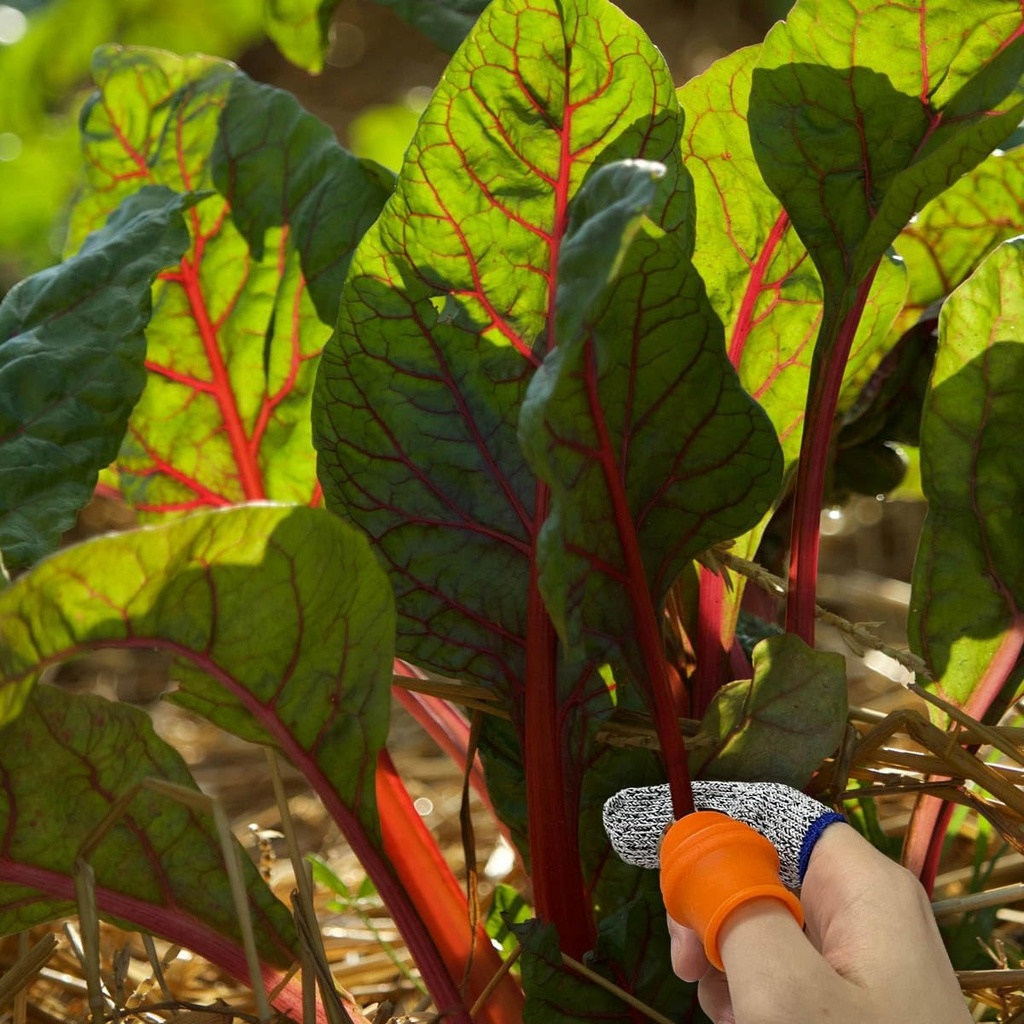 garden-silicone-thumb-knife-finger-knife-3.jpg