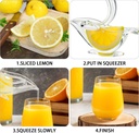 manual-lemon-squeezer-lemon-juicer-acryl-2.jpg