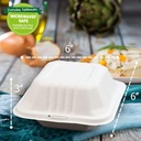 green-earth-6-inch-100-count-compostable-4.jpg